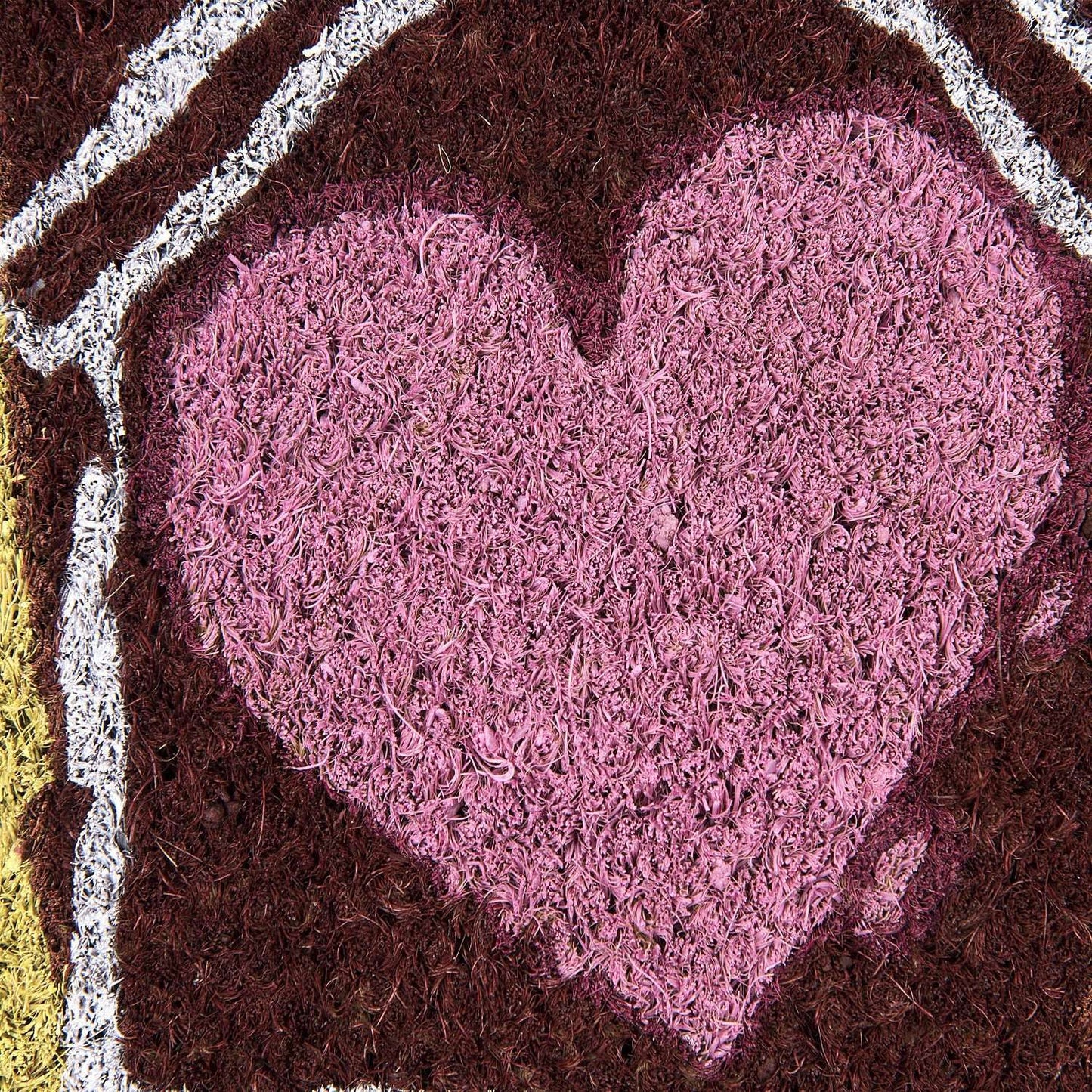 SWHF Premium Coir and Rubber Quirky Design Door and Floor Mat : Home is Where the Heart is - SWHF